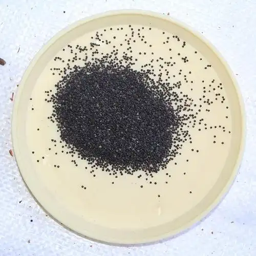 大花马齿苋种子 花卉种子观花植物草坪大花马齿笕发芽率高