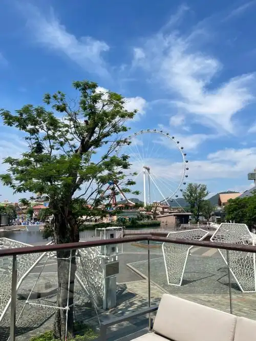 顺峰山庄华侨城店