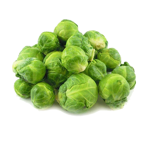 顺丰孢子甘蓝500g新鲜迷你小包菜卷心菜芽甘蓝沙拉蔬菜价格品牌报价1