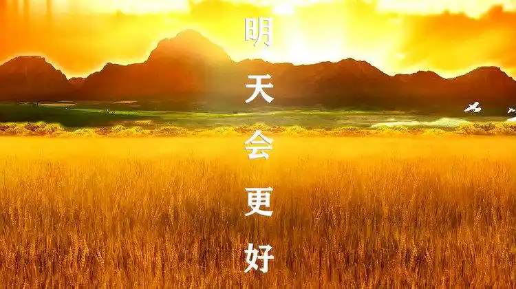 送给复工的你明天会更好群星公益版暖心演绎经典