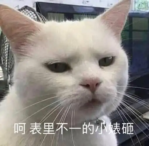 萌宠喵星人呵表里不一搞怪逗gif动图_动态图_表情包下载_soogif