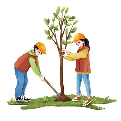 象牙树松树植物盆栽盆景矢量素材拥抱地球绿色植树节卡通文艺插画312