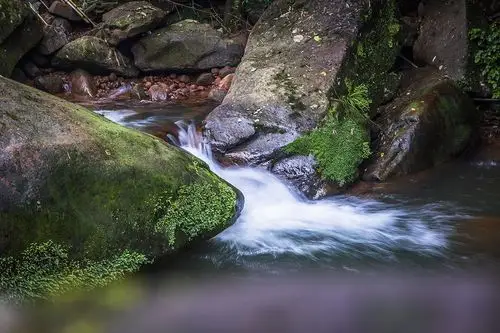 泸州画稿溪国家级自然保护区攻略,泸州画稿溪国家级自然保护区门票