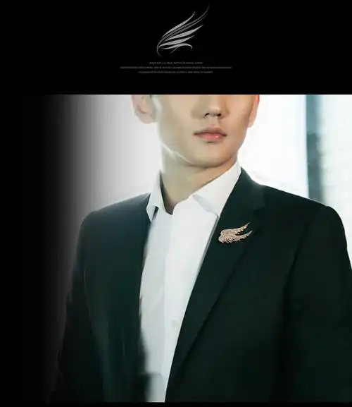 胸针男士高档西装胸花领针胸口装饰别针创意百搭潮人徽章xongzhen