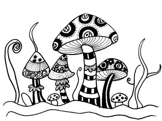 用粗勾线笔画出面积较大的装饰图案,有花形,圆圈,长方形等等,重复使用