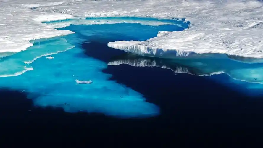 sea level to rise by over 10 cm in 80 years as greenland ice