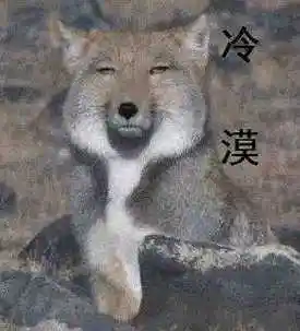 藏狐小亮表情包大全