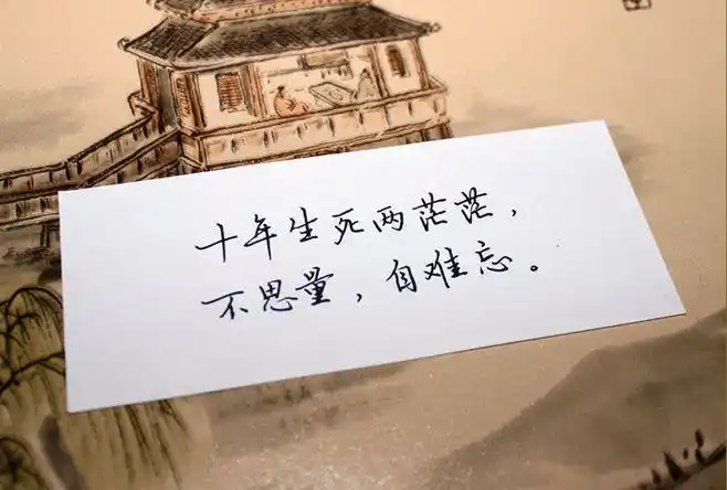 手写文字:十年生死两茫茫,不思量,自难忘.