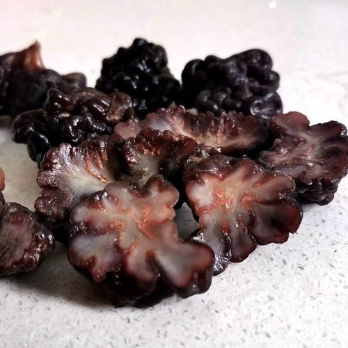 南美豹精选猴脑菌菇黑核桃菌黑球菌海参菌玛卡菌中等紧实不开花一斤