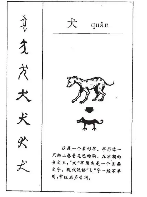 犬字;犬字的本意是什么犬字意为犬quǎn狗:猎犬.警犬.犬马之劳.