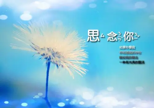 唯美意境蒲公英图片_伤感唯美的蒲公英