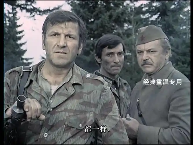 绿山高谷thepeaksofzelengore1976前南斯拉夫二战片