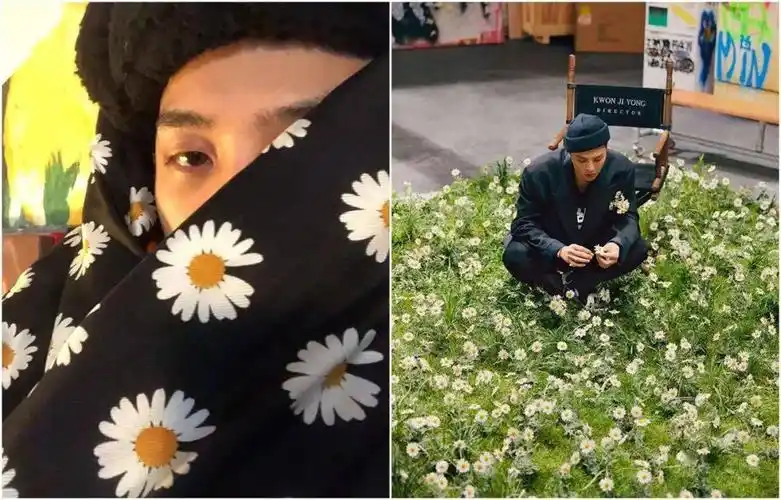 明星还数gd权志龙,他成立的个人品牌peaceminusone的logo,就是小雏菊