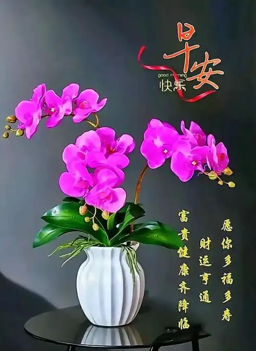 早安问候图片|问候中,寄去一份思念