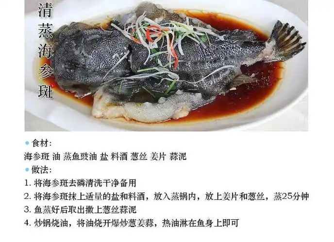 海参斑多少钱一斤市场价 海参石斑鱼价格