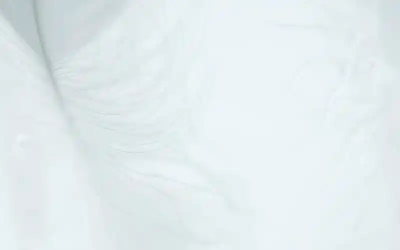 唯美意境,白色,唯美,静物,电脑壁纸,壁纸白色玫瑰花