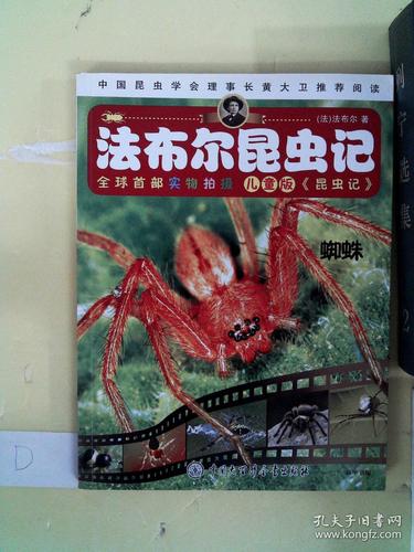 蜘蛛(儿童版)/法布尔昆虫记