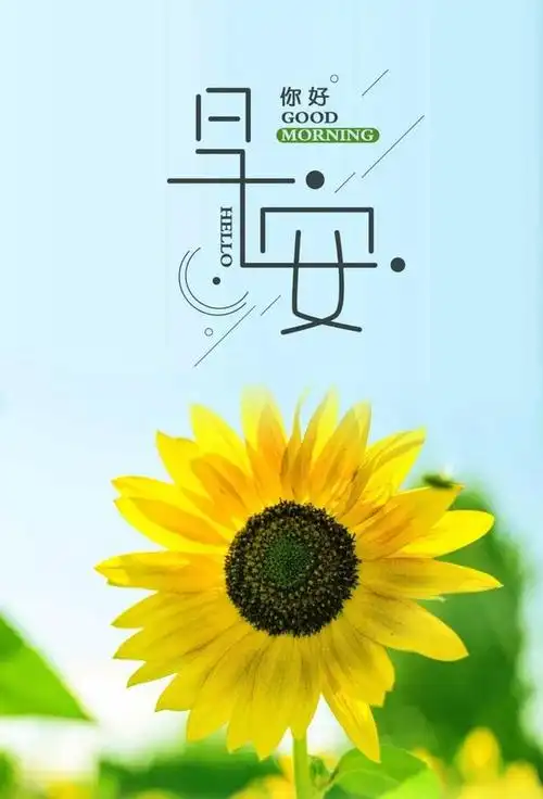 早安心语经典简短一句话,朋友圈早安问候语:是你的,就是你的