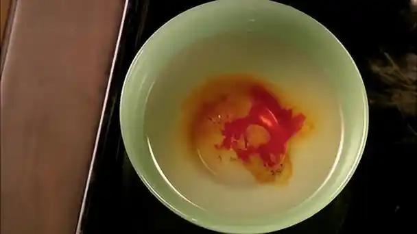 "血浓于水"是什么意思呢?