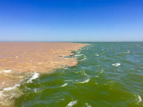 黄河入海口 - 美篇