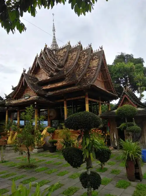 美丽的西双版纳(2017年8月)