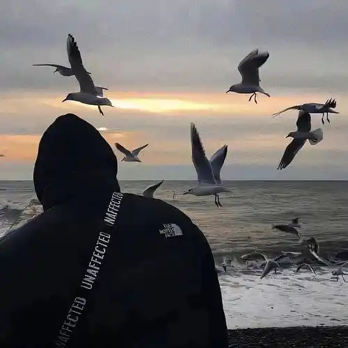 一组意境氛围感微信头像