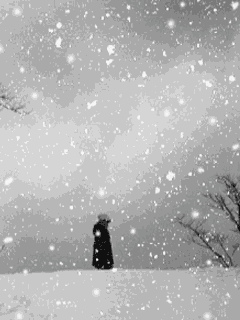 那些与雪有关的歌唯美了整个冬天