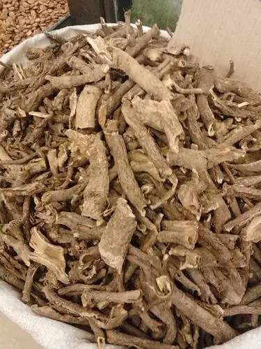五加皮统产地陕西省宝鸡市库存10000公斤可售