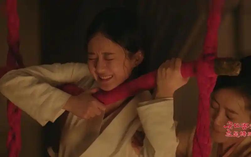 古装剧生孩子混剪