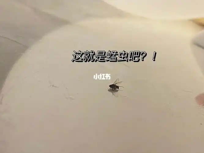 蜢虫咬人痒哭出来退退退