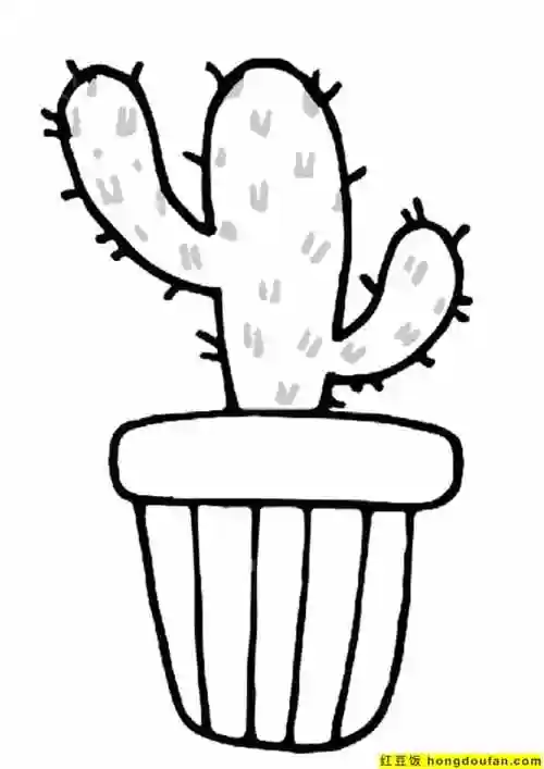 10张向日葵仙人掌要如何画卡通植物幼儿可涂色简笔画