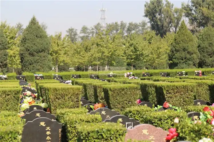 长青园陵园墓地图片大全