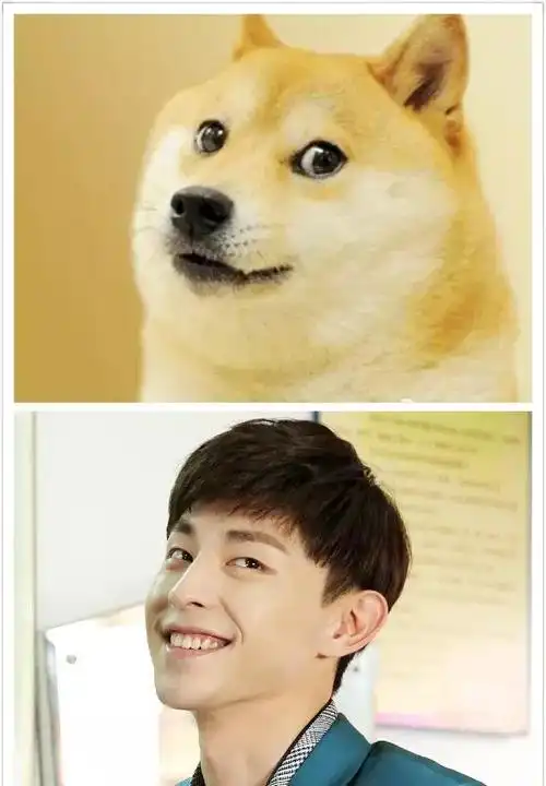 被拿来和柴犬作对比,仔细看邓伦的这个表情其实超越了张翰的相似度