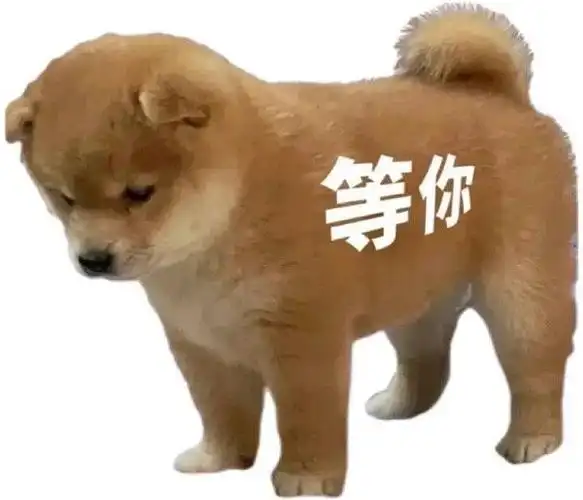 等你小狗狗勾表情包狗狗斗图表情