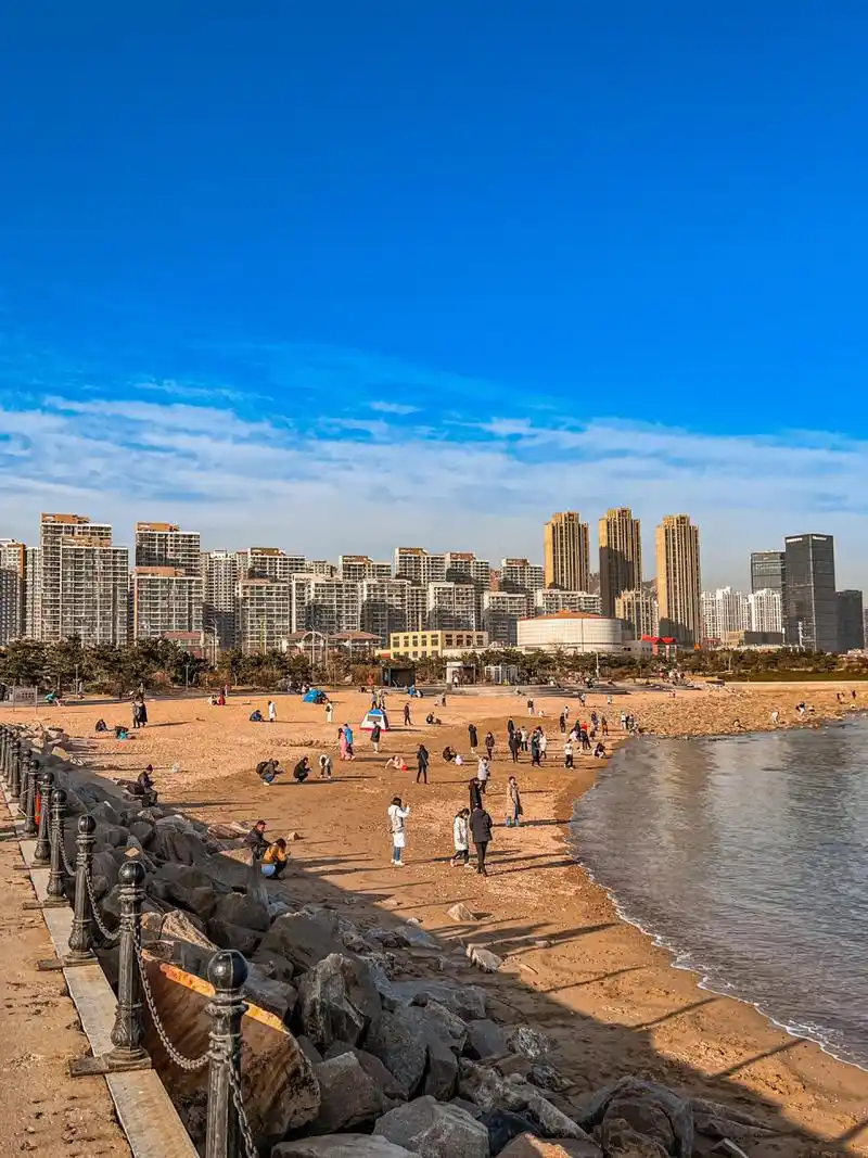 冬天的小麦岛打卡拍照91攻略分享6015 今年的青岛冬天还真没有