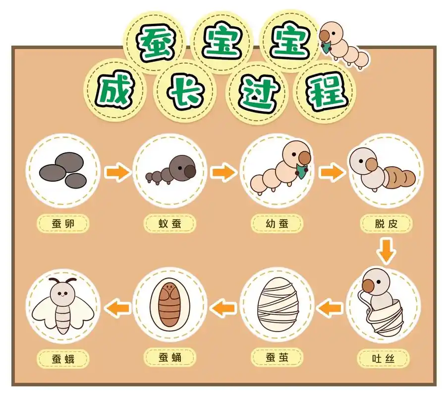 #幼儿园打印素材 #蚕宝宝生长过程打印素材 #幼儿园的小可爱 - 抖音