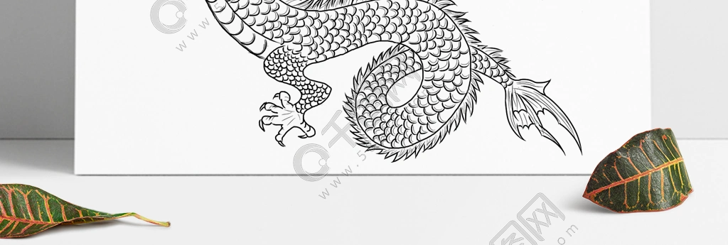 简笔素描白描线稿双龙分层psd