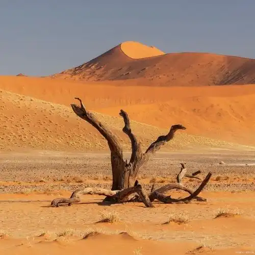 撒哈拉沙漠到底有多深?如果把沙子全部都挖光,那底下还剩什么?