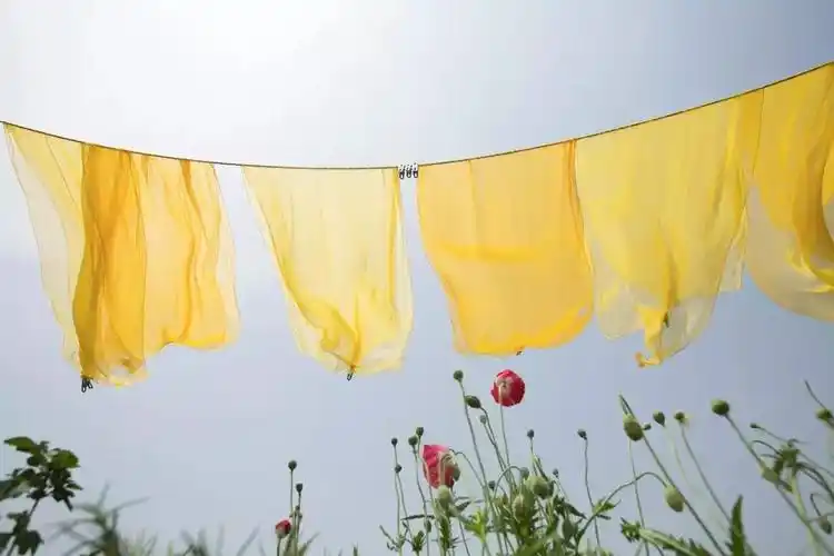 用草木染记录秋日的绚色