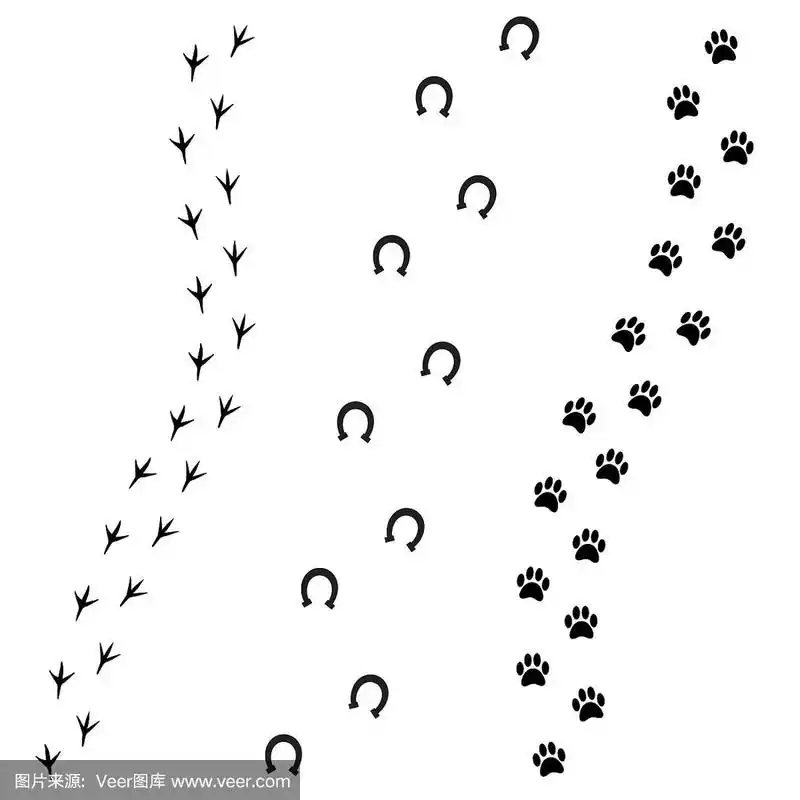 黑色的脚印,狗,马和鸟