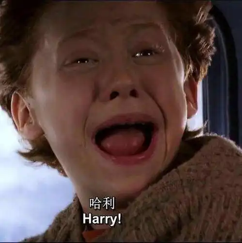 哈利波特系列罗恩小可爱的表情包