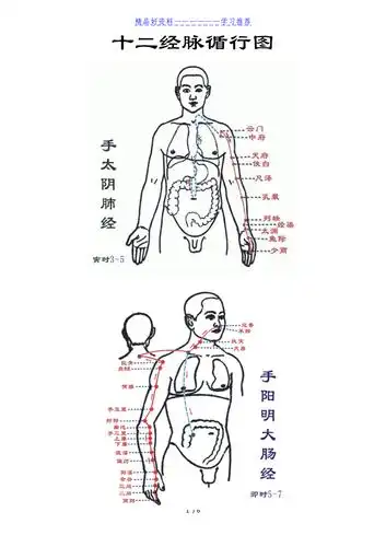 十二经脉循行图