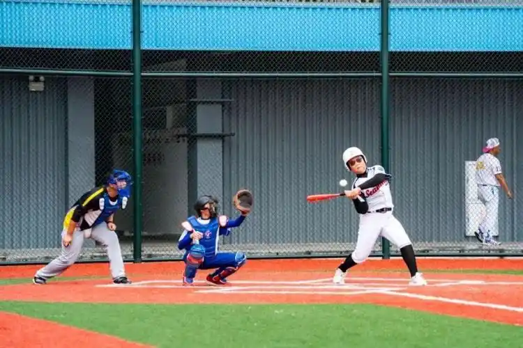 今年初在省体育局召开的闽台棒垒球工作专题会议上,为福建省级闽台棒