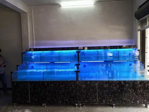 饭店海鲜鱼缸定做 岳阳饭店暂养鱼缸哪家好