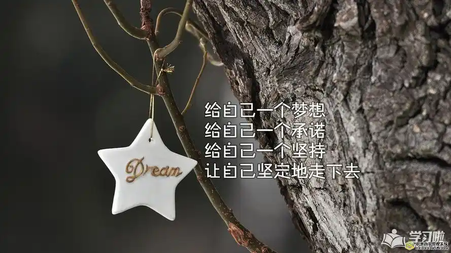 正能量的句子经典语句2017早安正能量句子励志