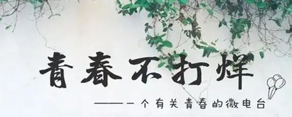 青春不打烊是什么意思