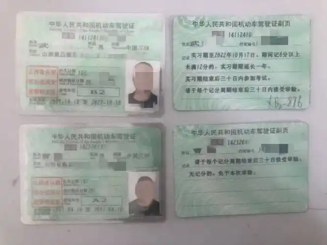 最后变"没本"._驾驶证