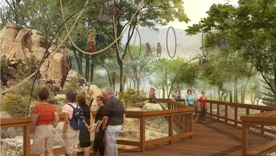 非洲区非洲狮展区效果图,植物花园景观廊架效果图,动物表演馆及动物