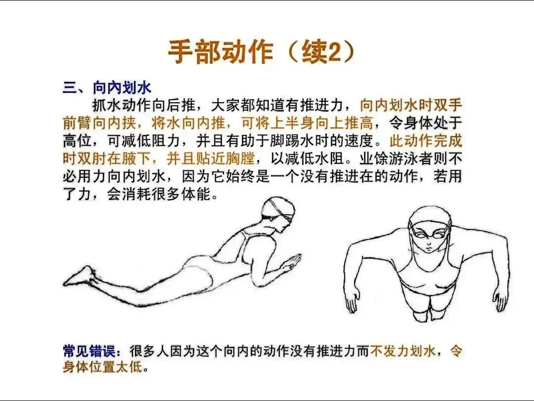 蛙泳的动作要领:手划腿不动,收手后收腿,先伸