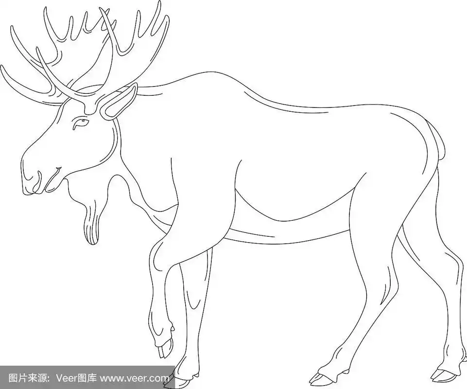 驼鹿衬画轮廓
